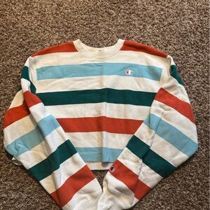 Champion Multicolor Striped Crewneck